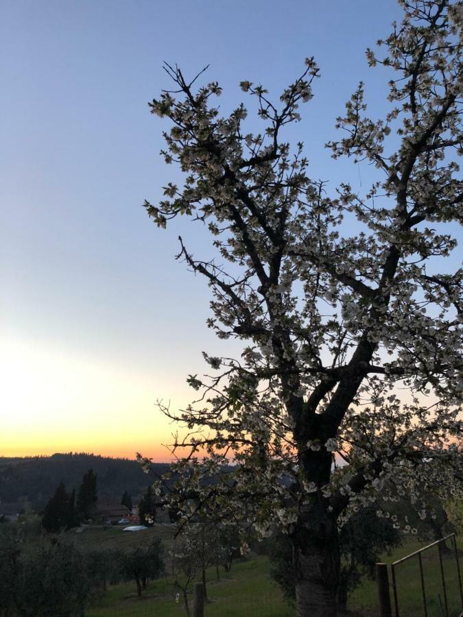 La Casa Di Montelonti Lägenhet Poggibonsi Exteriör bild